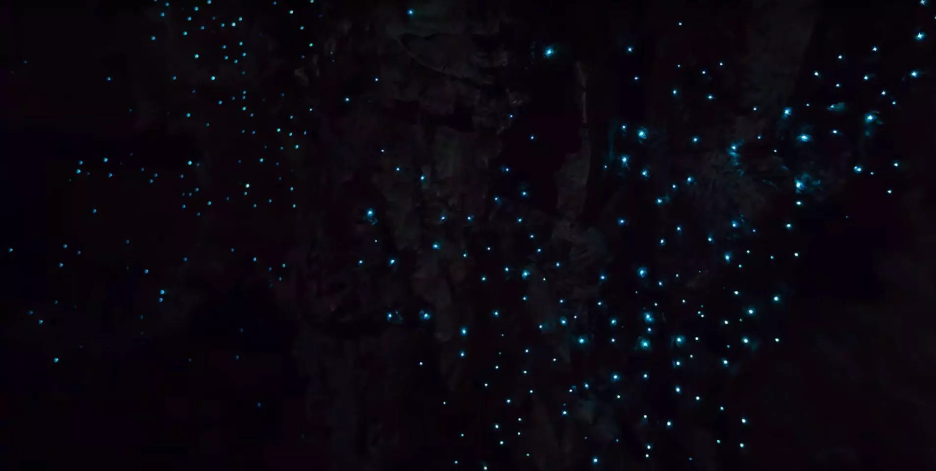 Glowworm Cave Screencap1